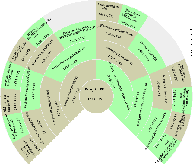 MARIA FRANCISCA Amélia Luiza ORLÉANS-BRAGANCE (d') Fan Chart