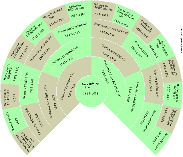 François-Joseph 1er AUTRICHE (d') Kreis-Diagramm