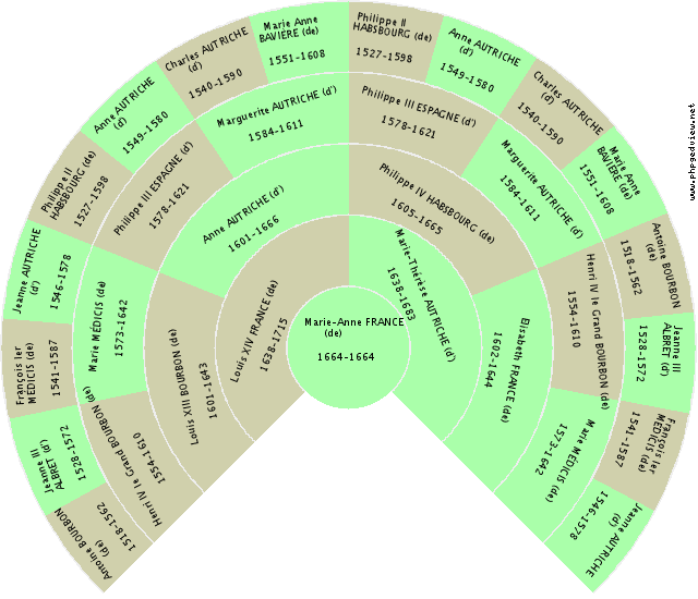 Jacques SALVIATI Fan Chart