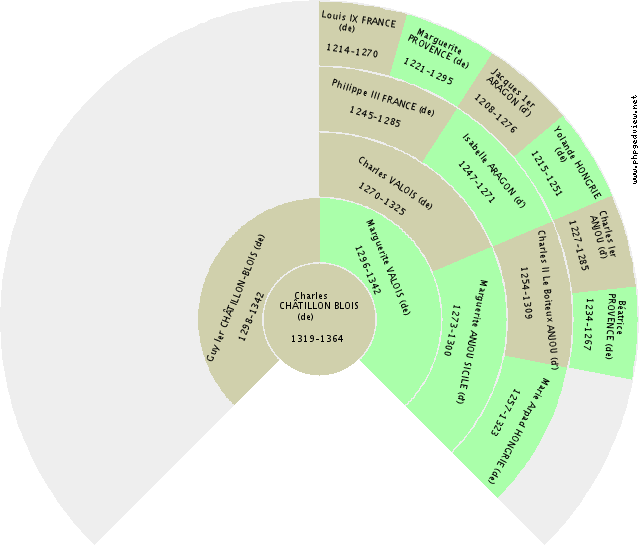 Charles IV LORRAINE (de) Fan Chart