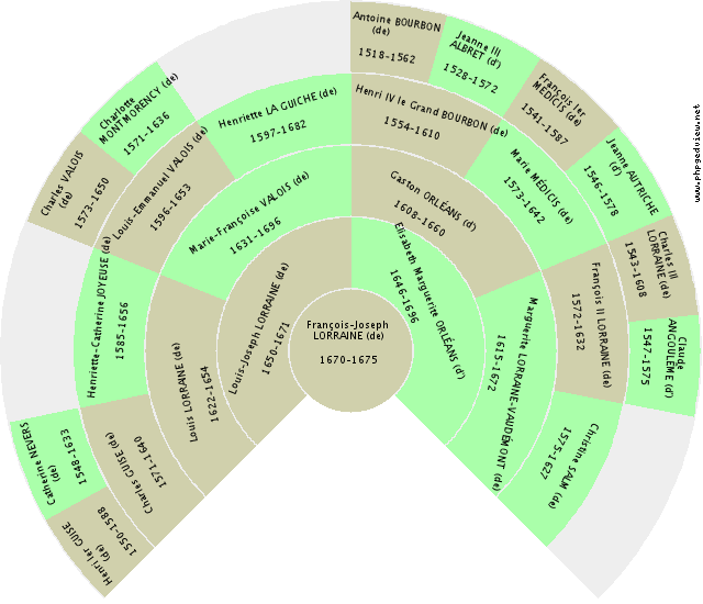 Isabelle ORLÉANS (d') Solfjäderdiagram