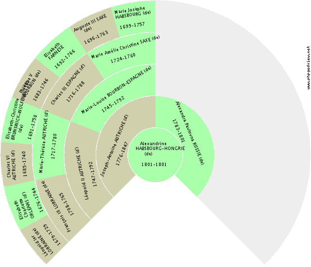 Christine SALM (de) Solfjäderdiagram